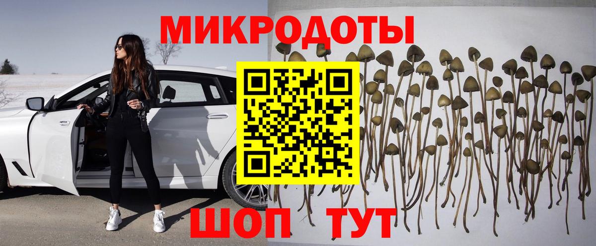 Зерноград  Галлюциногенные грибы прущие грибы  Вход с VPN 